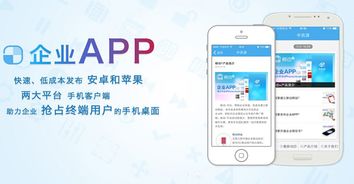 广州企业APP开发 网络与信息安全软件的价格关切与选择策略