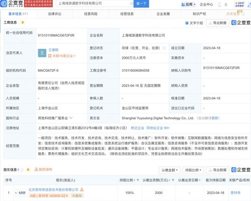 网络与信息安全软件开发 构筑数字世界的坚实防线